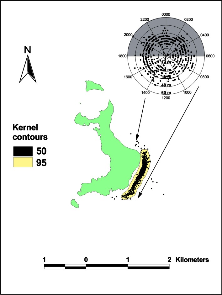 Fig. 9