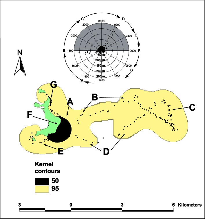 Fig. 10