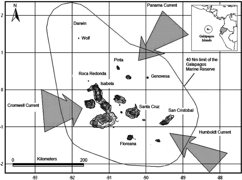 Fig. 1