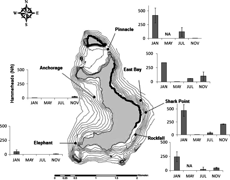 Fig. 3