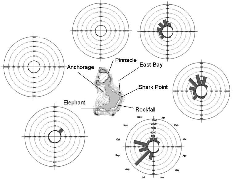 Fig. 6