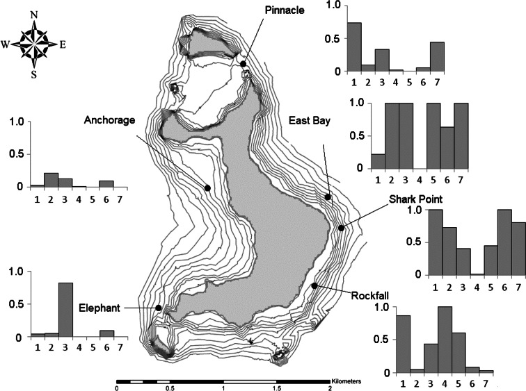 Fig. 12