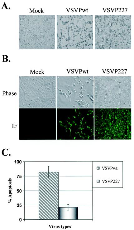 FIG. 5.