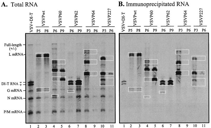 FIG. 6.