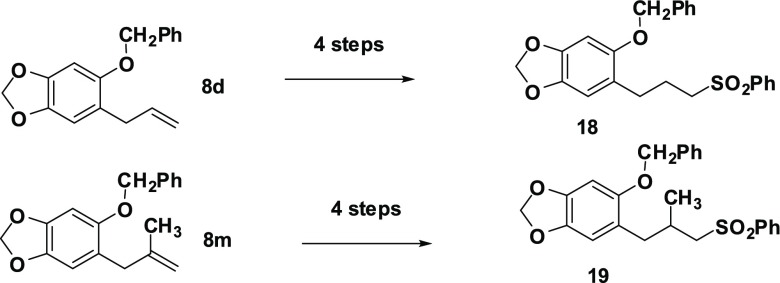 Scheme 5