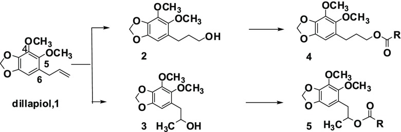 Scheme 1