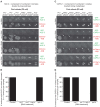 Figure 1—figure supplement 2.