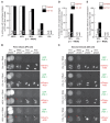 Figure 2—figure supplement 5.