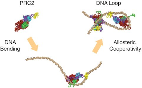 Graphical Abstract