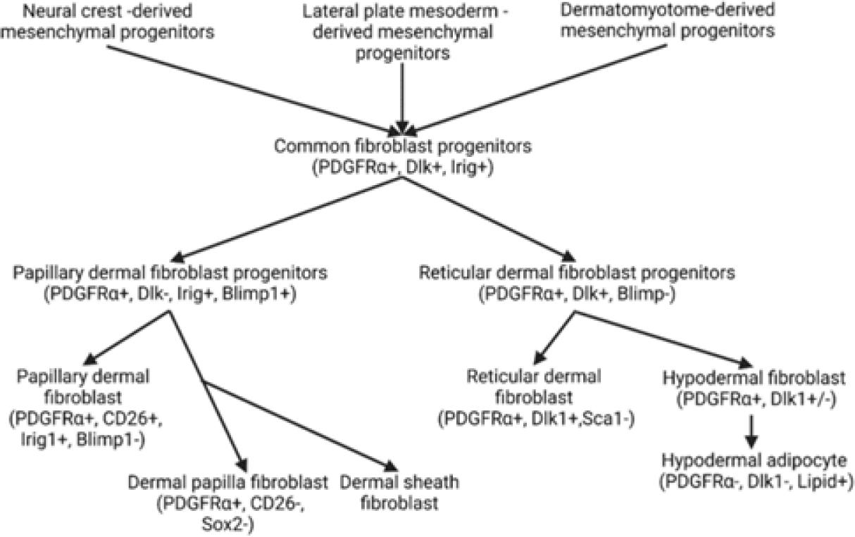 Figure 1: