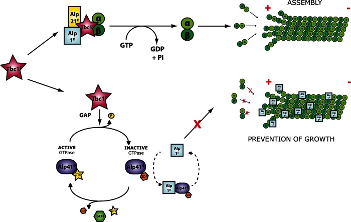 FIGURE 7: