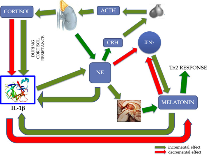 FIGURE 3