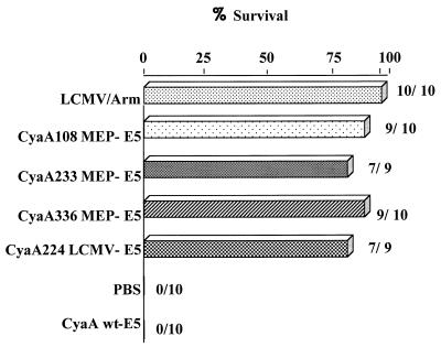 FIG. 6