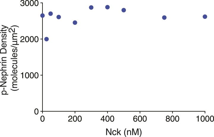 Figure 2—figure supplement 2.