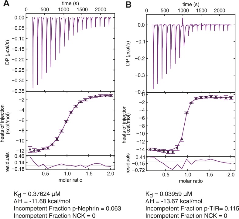 Figure 5—figure supplement 1.