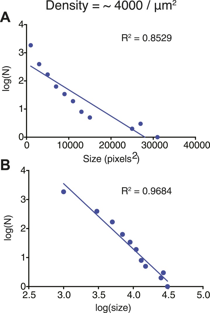 Figure 3—figure supplement 2.