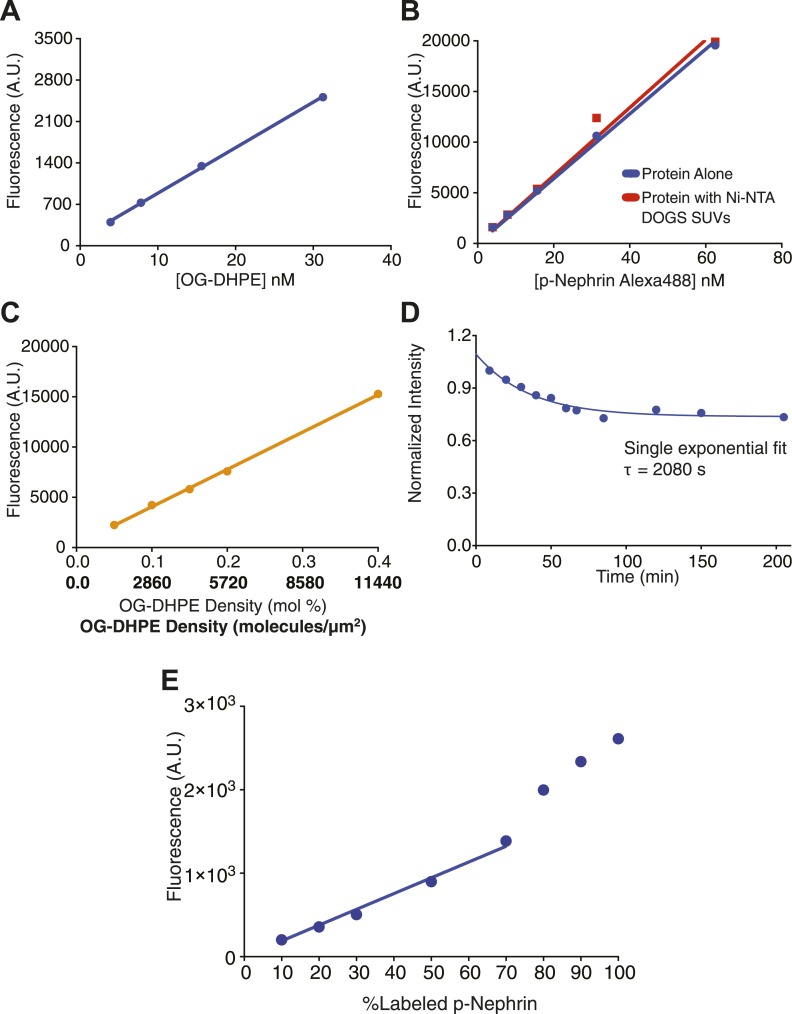 Figure 2—figure supplement 1.