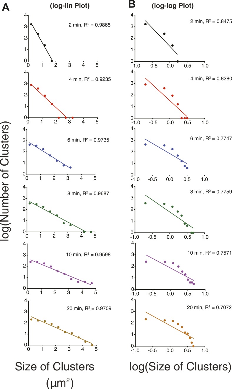 Figure 3—figure supplement 1.