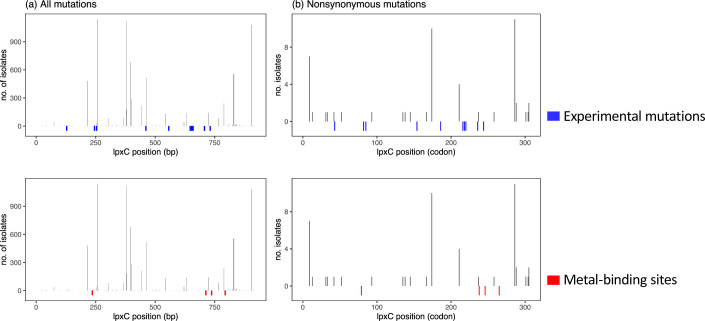 Figure 5—figure supplement 2.