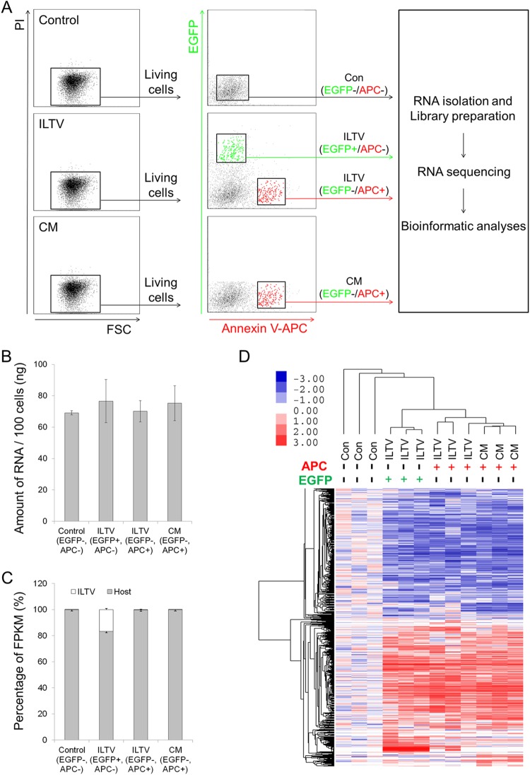 FIG 6