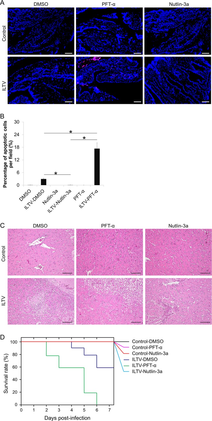 FIG 13