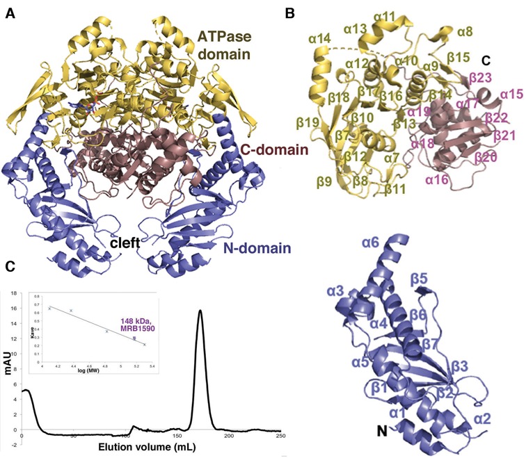 Figure 2.