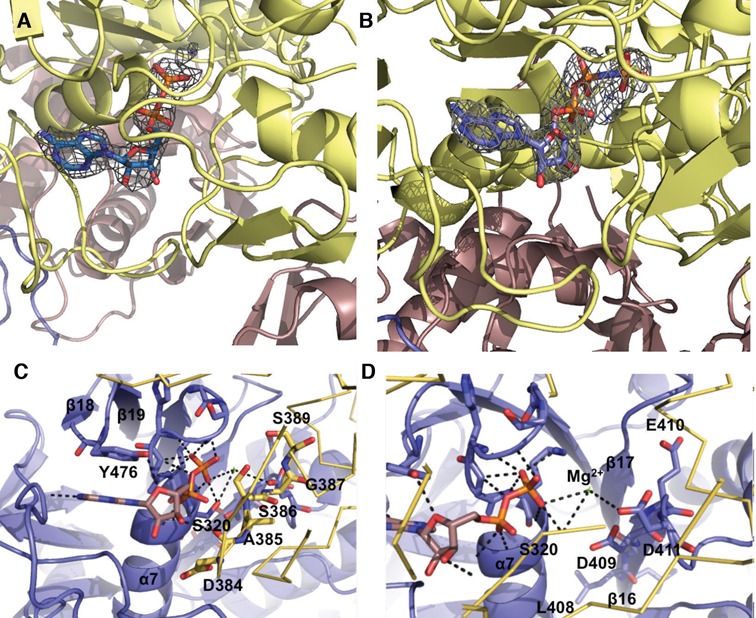 Figure 3.