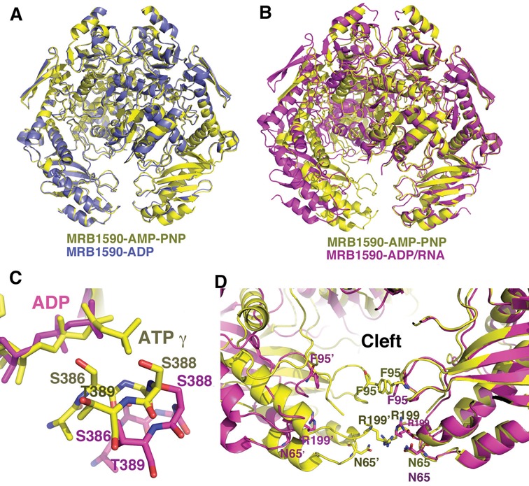 Figure 4.