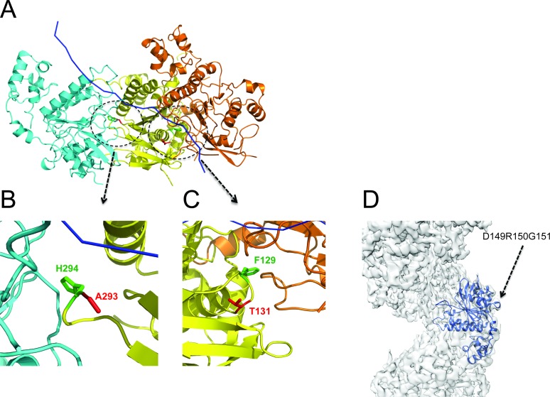 Figure 6.