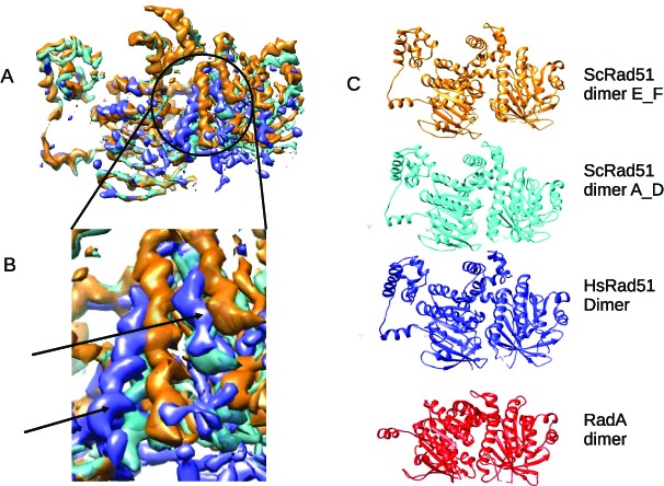 Figure 5.