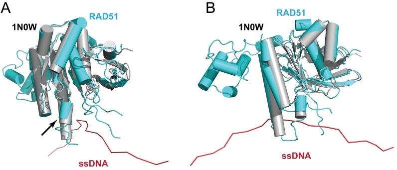 Figure 9.