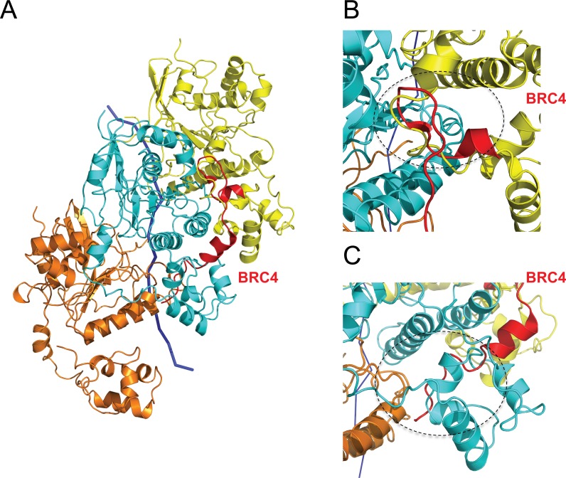 Figure 7.