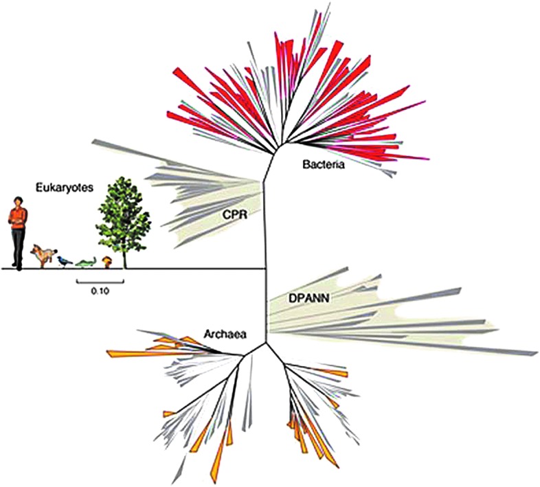 FIG. 1.