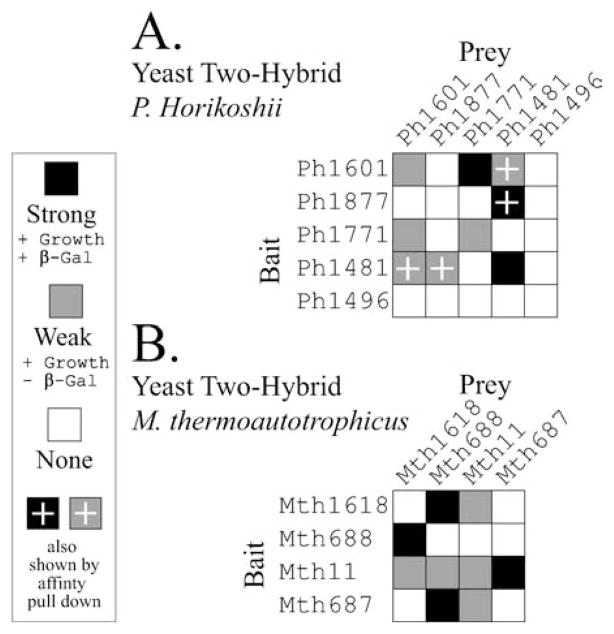 FIGURE 4