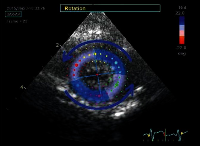 Fig. 7