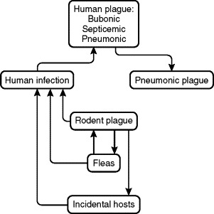 FIGURE 42-2