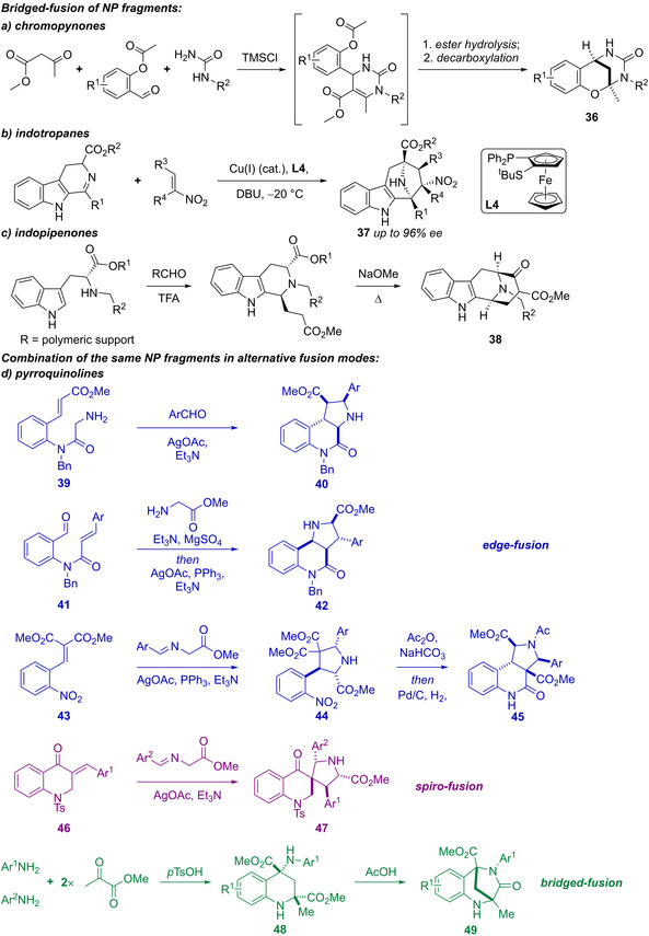 Scheme 2