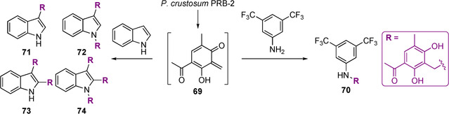 Scheme 4