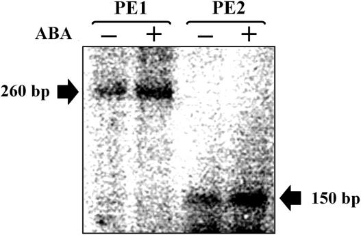 Figure 6.