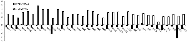 Fig. 3