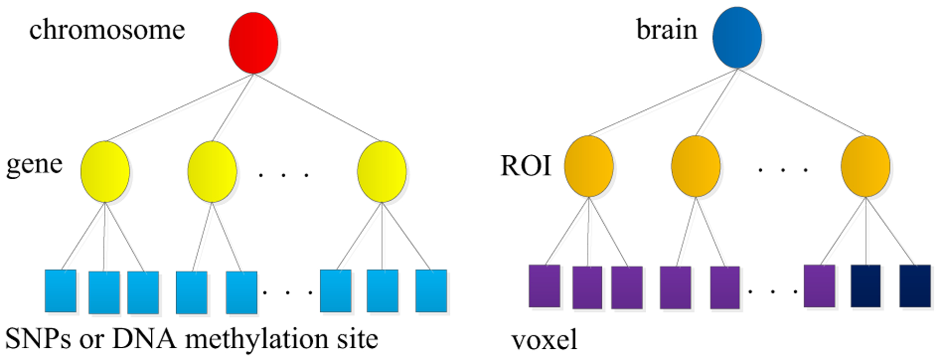 Fig. 6