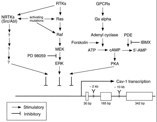 FIG. 6