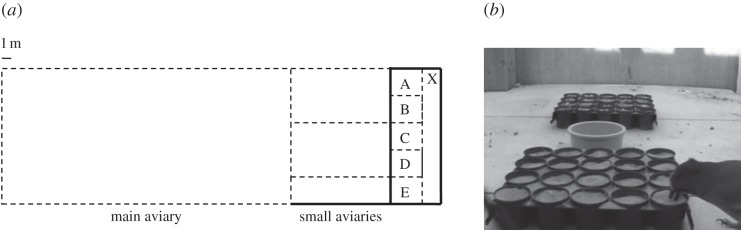 Figure 1.