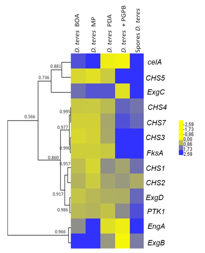 Figure 5