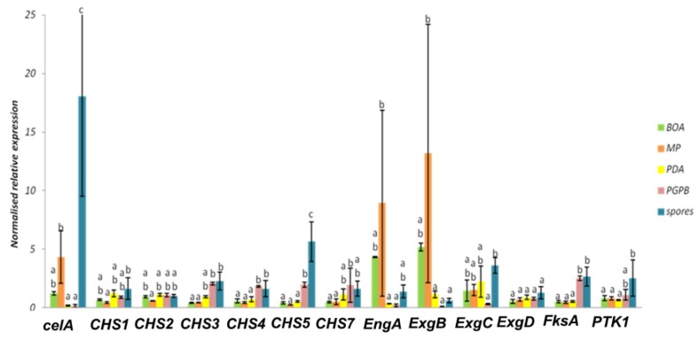 Figure 6