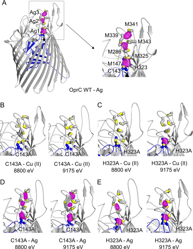 Fig 3