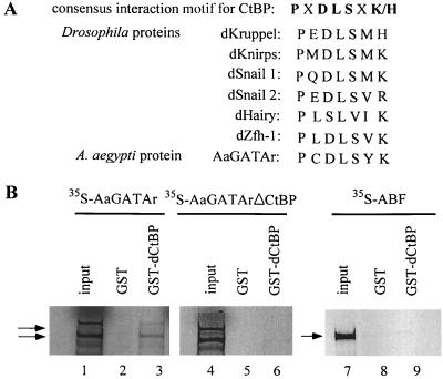 FIG. 10