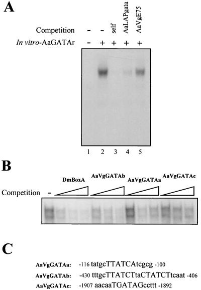 FIG. 7