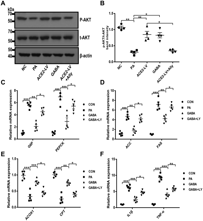 Figure 7