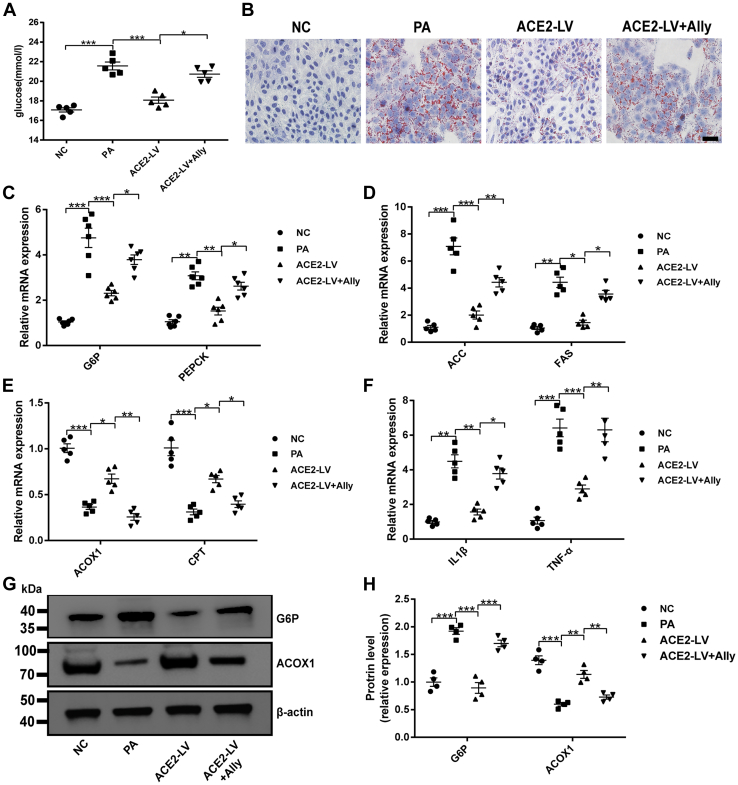 Figure 6